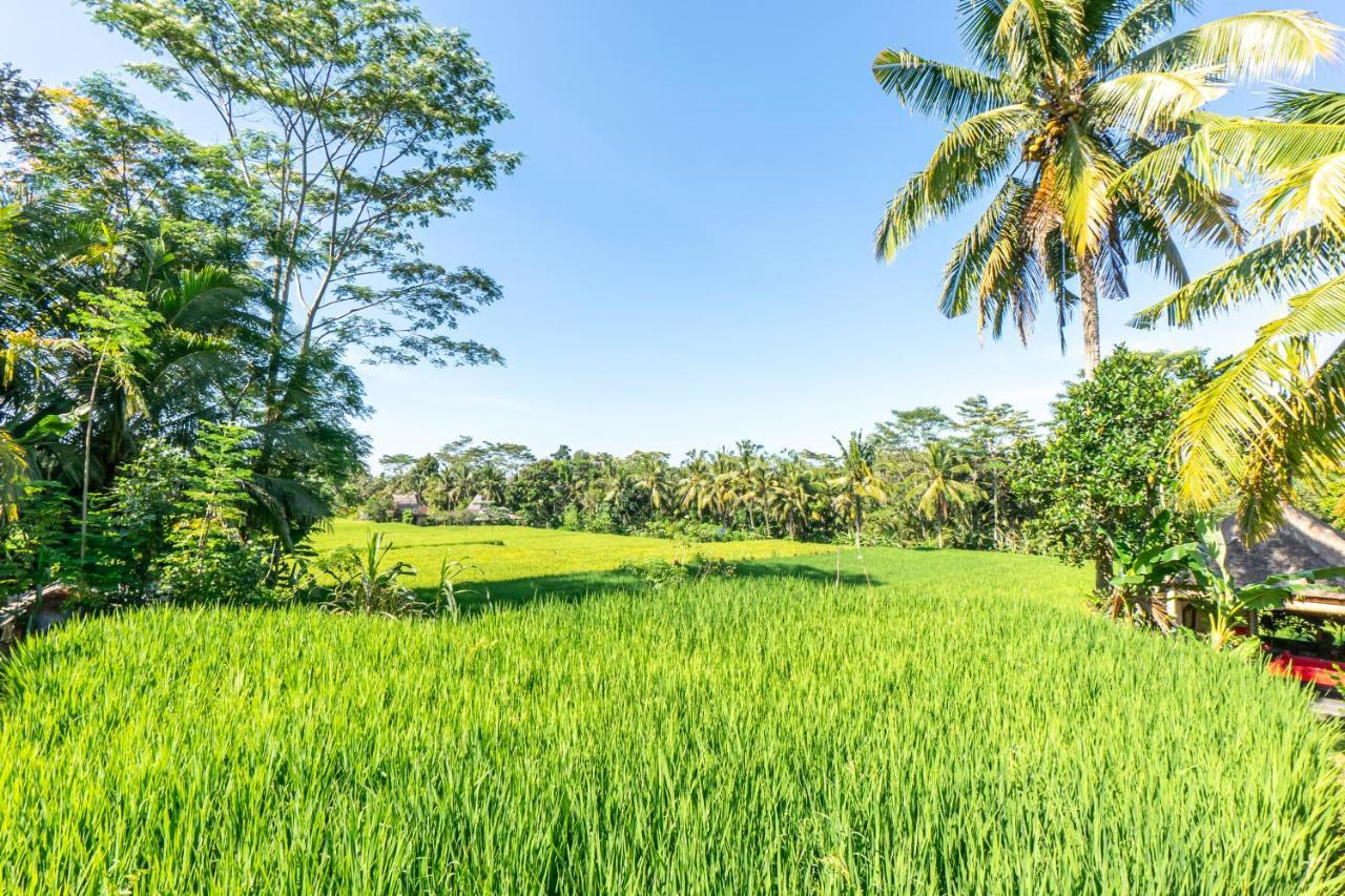 Rouge - Private Villa Passion Ubud Extérieur photo